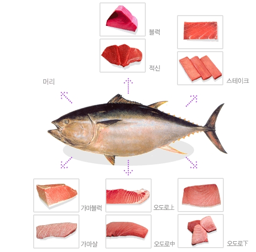 키움참치 이미지