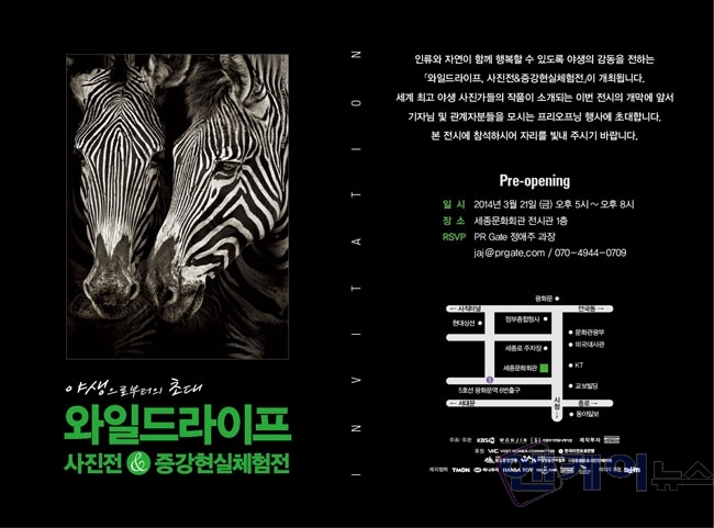 엔케이21 이미지