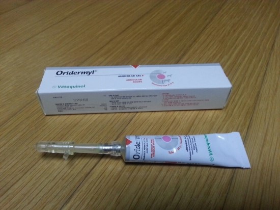 중앙가축병원 이미지