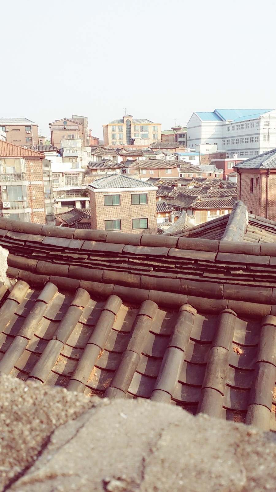 황금알분식 이미지