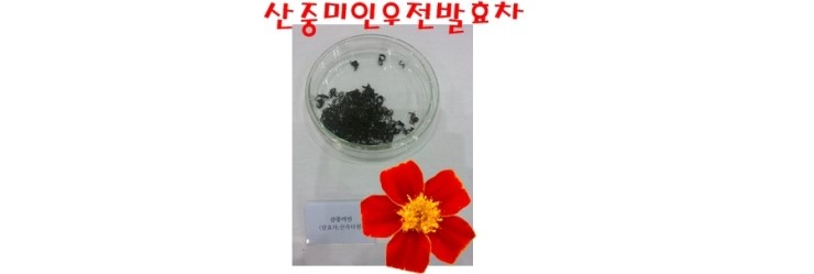 산곡다원 이미지