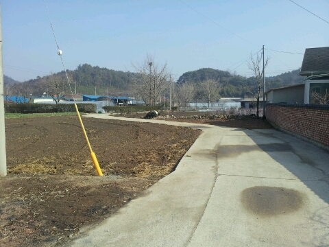 장성마실 이미지