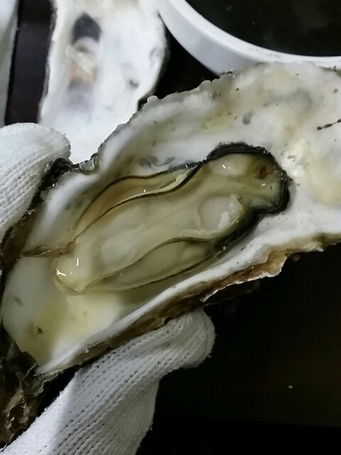 숯불꼼장어 이미지