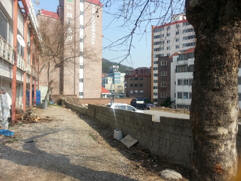 구우면돼지 이미지