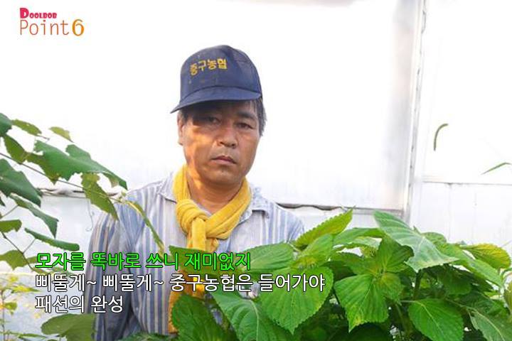 자연아부탁해 이미지