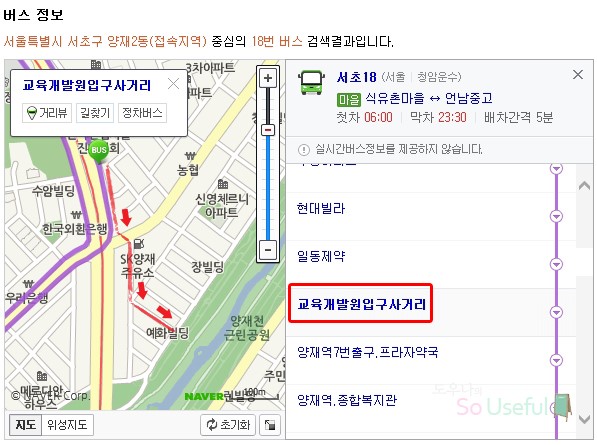베로니카화원 이미지