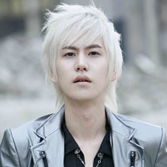 돈돈이 이미지
