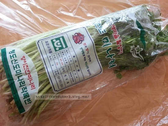 늘푸른영농 이미지