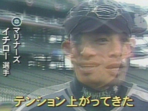 도리도리 이미지