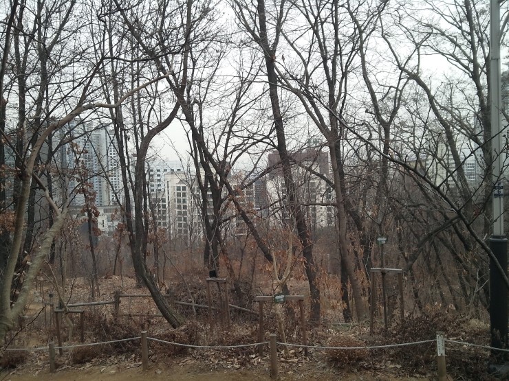 미래CNP 이미지