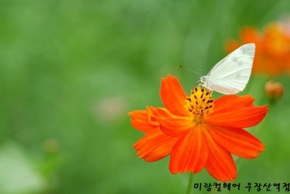 시장미용실 이미지