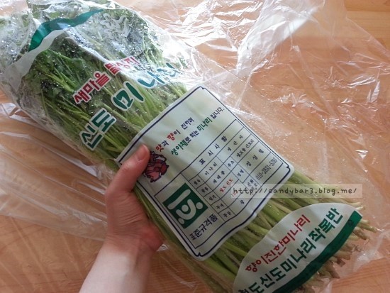 늘푸른영농 이미지