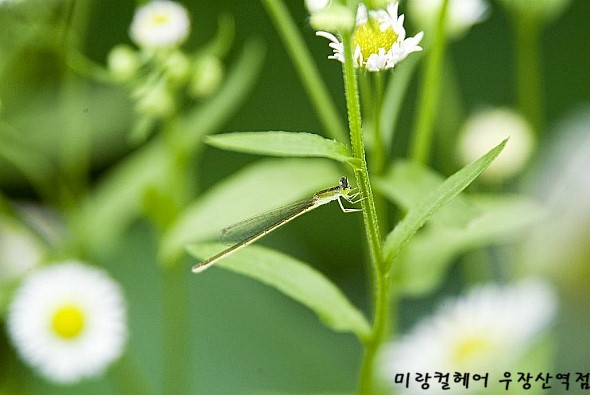 송화미용실 이미지