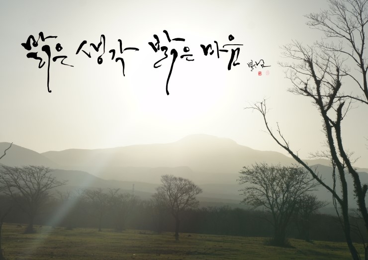 밝은 이미지