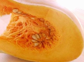 파이토뉴트리 이미지