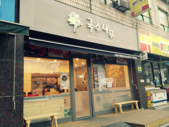 국수나무안산 이미지