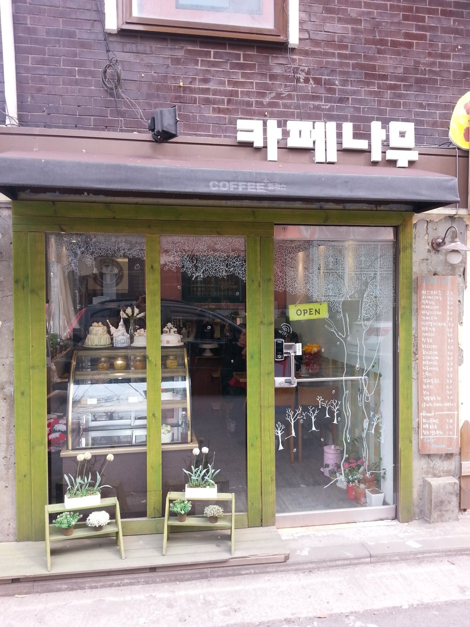 미니카페나무 이미지