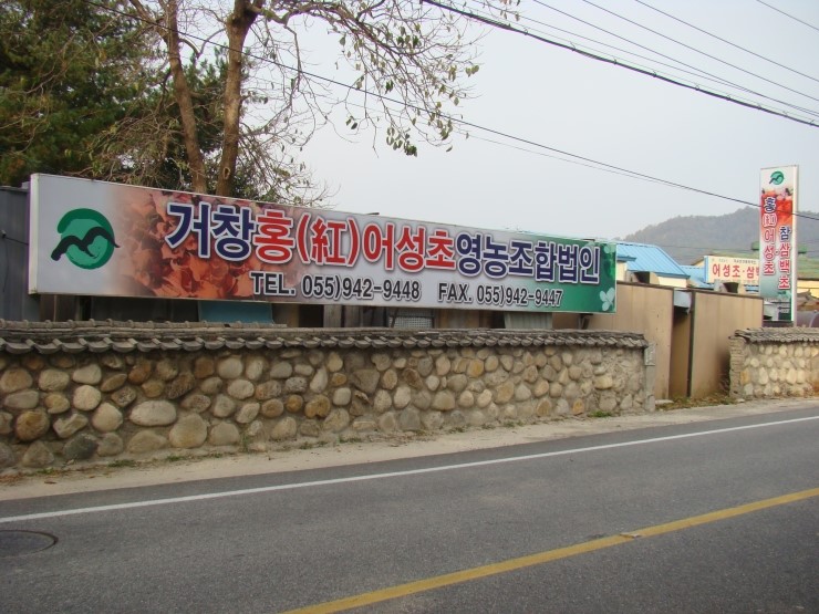 거창홍어성초영농조합법인 이미지