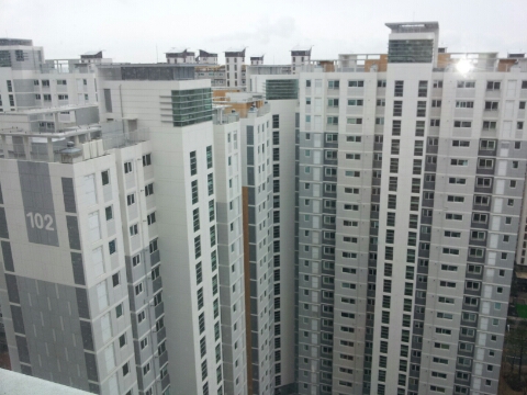 대림전산 이미지