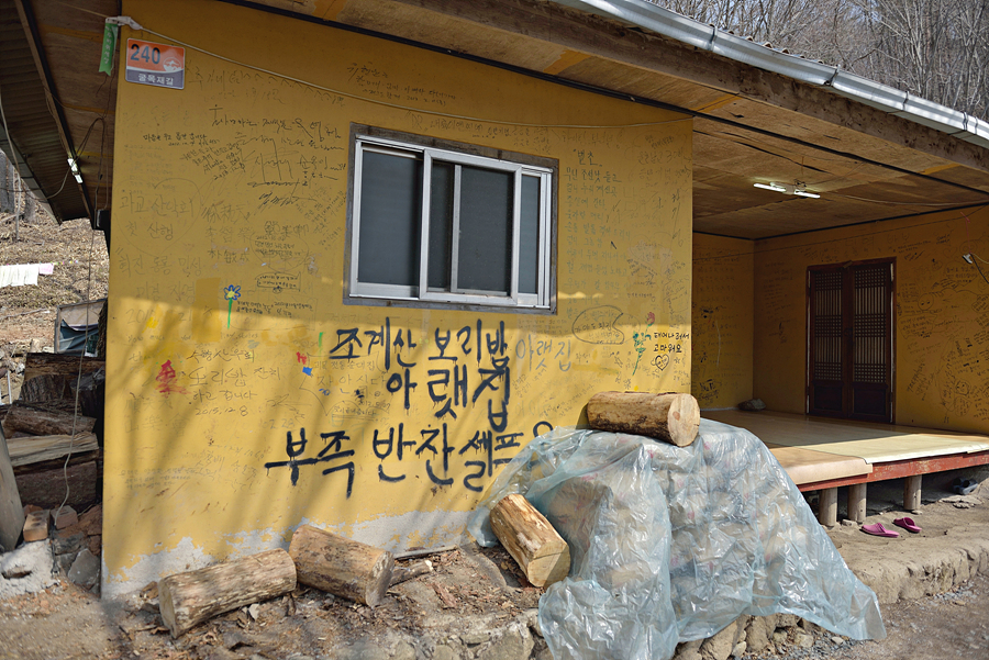 봄날의 보리밥 이미지
