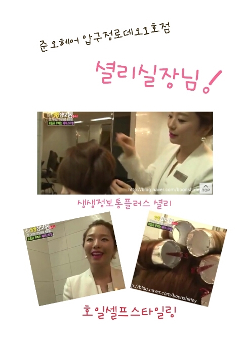 셜리헤어 이미지