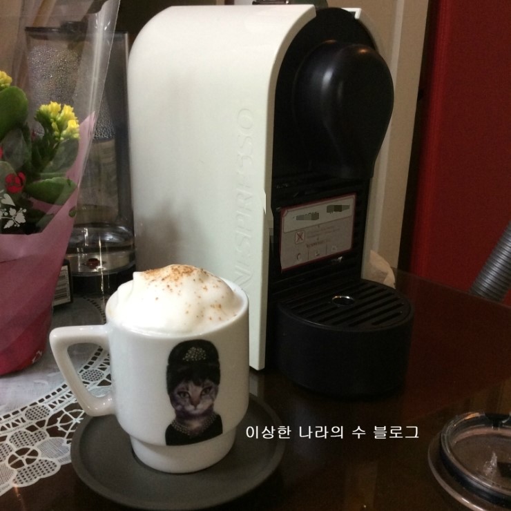 토토다방 이미지