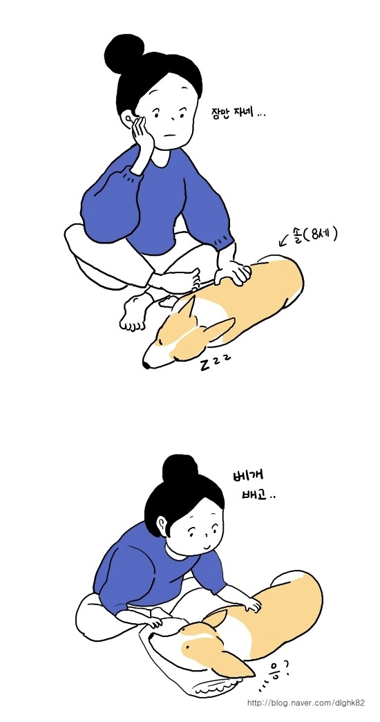 잠솔 이미지