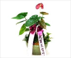 덕성떡방앗간 이미지