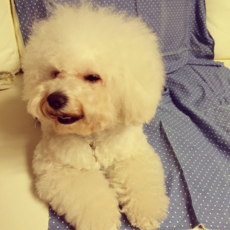 키키케키 이미지