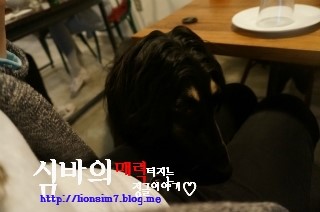 일루(ilot) 이미지