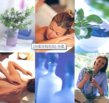 하니아로마 이미지
