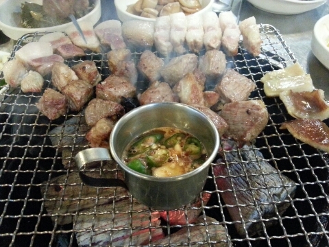 솔낭구 이미지