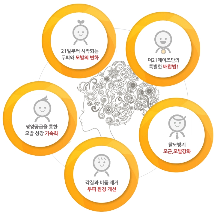 더21 이미지