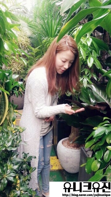 꽃라일린 이미지
