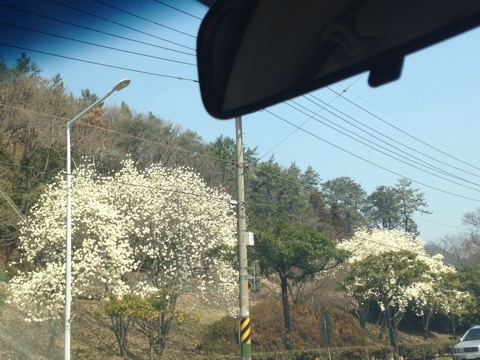 루이까스텔여수 이미지