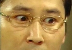 THE램 이미지