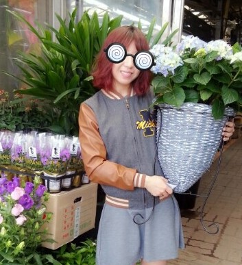 꽃라일린 이미지