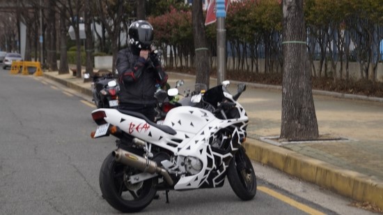 드라곤모터스 이미지
