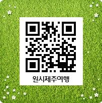 하얀여행사 제주 이미지