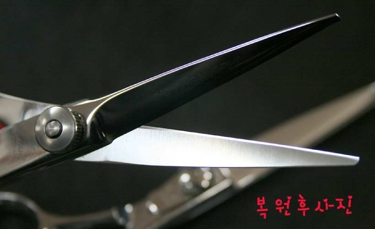 재규어헤어 이미지