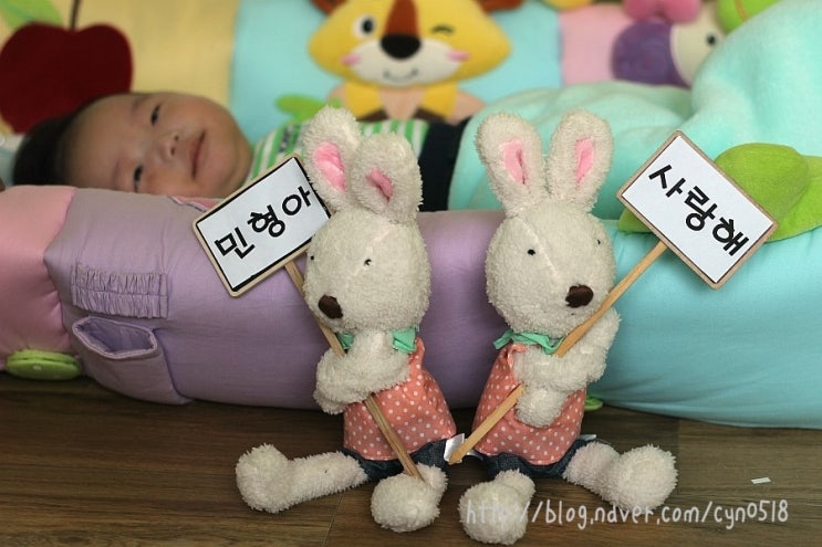 포동포동 이미지