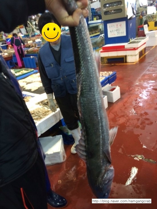 수협상회 이미지