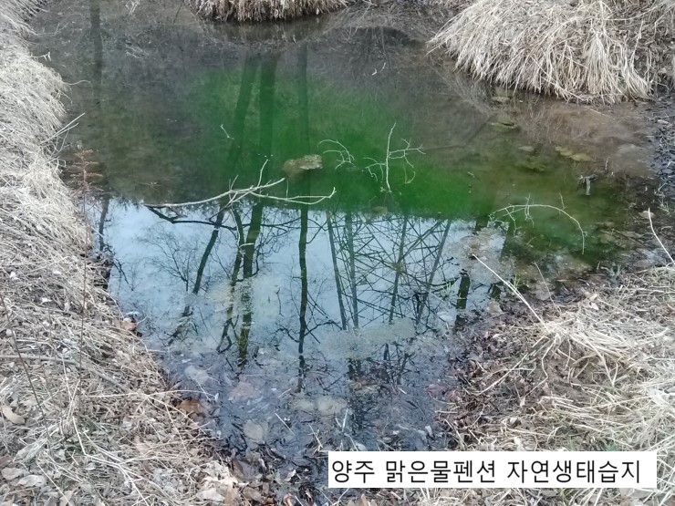 맑은물농원 이미지