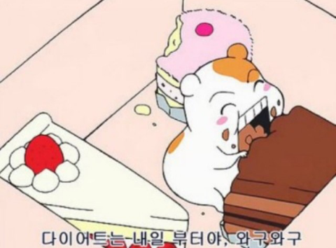 수블리 이미지