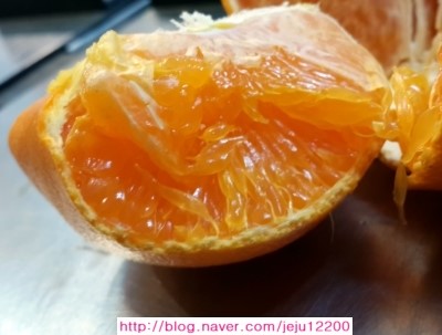 하늘청과 이미지