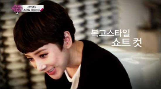 뉴스타일 이미지