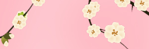 레드로더 이미지