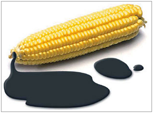 우리바이오㈜ 이미지
