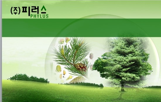 (주)피러스 이미지