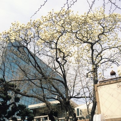 목련슈퍼 이미지